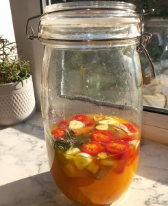 A jar of homemade fire cider, a natural immune-boosting tonic made with apple cider vinegar, garlic, ginger, and spices.